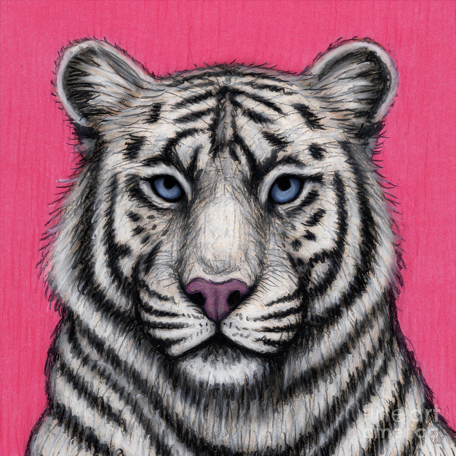 White Tiger Painting by Amy E Fraser - Fine Art America
