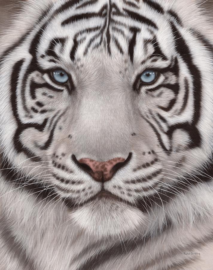 White Tiger face painting Painting by Rachel Stribbling