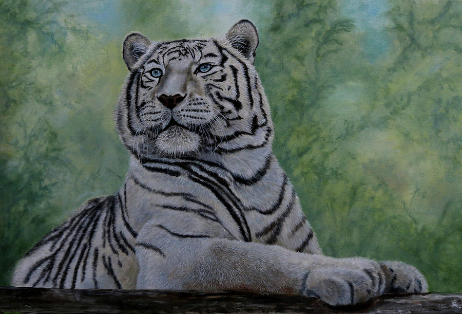 Tiger Painting - White Tiger by Jan Priddy