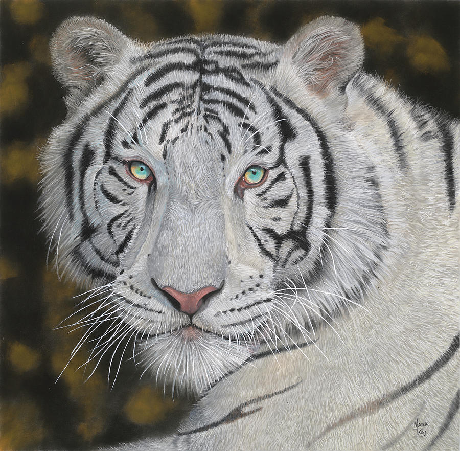 White Tiger Painting by Mark Ray