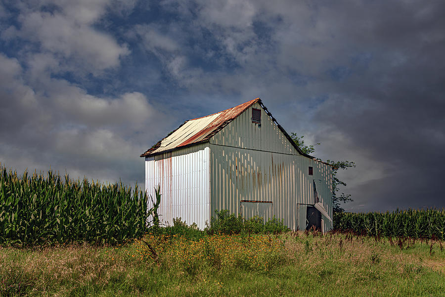 White Tobacco Barn Photograph by Bob Bell