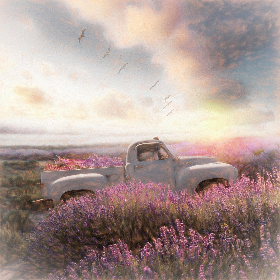 White Truck in the Flower Fields Painting Photograph by Debra and Dave Vanderlaan