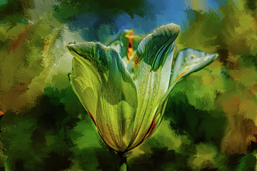 White tulip #l1 Mixed Media by Leif Sohlman