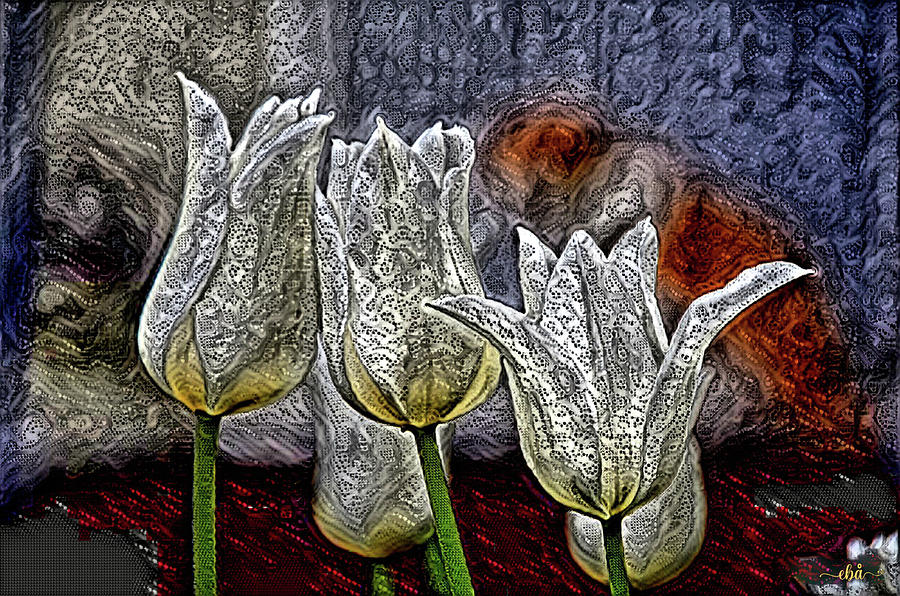 White Tulips Digital Art by Elaine Berger