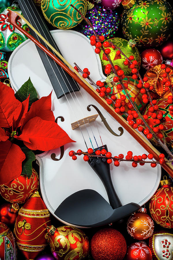 White Violin And Ornaments Photograph by Garry Gay