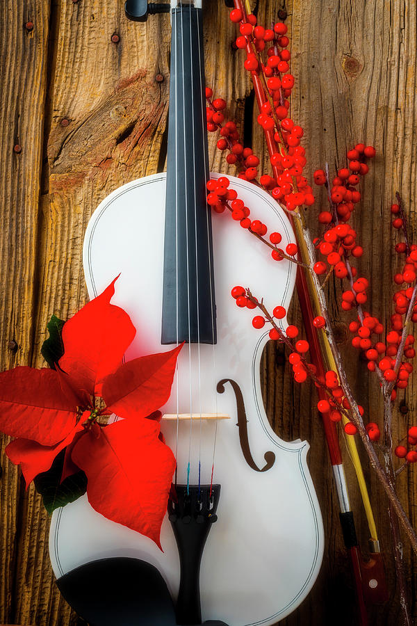 White Violin And Pointsettia Photograph by Garry Gay