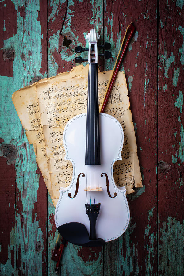 Trivial Lav en snemand dyr White Violin Hanging On Old Wood Wall Photograph by Garry Gay - Fine Art  America