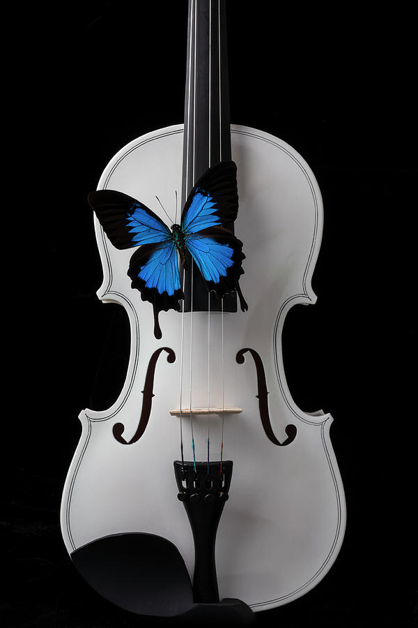White Violin With by Garry