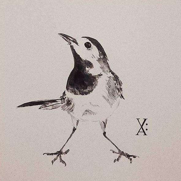 White Wagtail  Drawing by Violet Jaffe