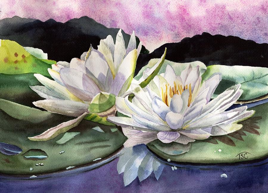White Water Lilies Painting by Tammy Crawford