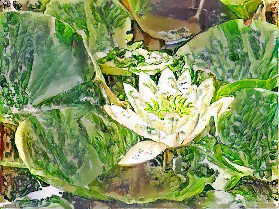 White Water Lily Impression Painting Photograph by Sandi OReilly