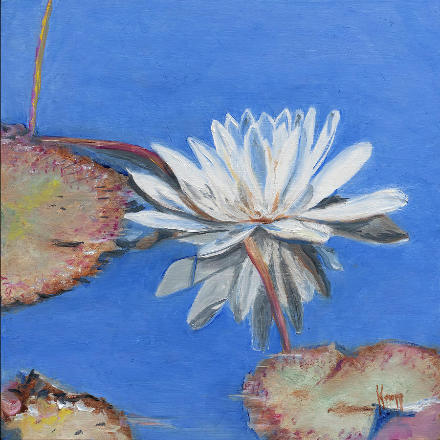 White Water Lily Painting by Kathy Knopp
