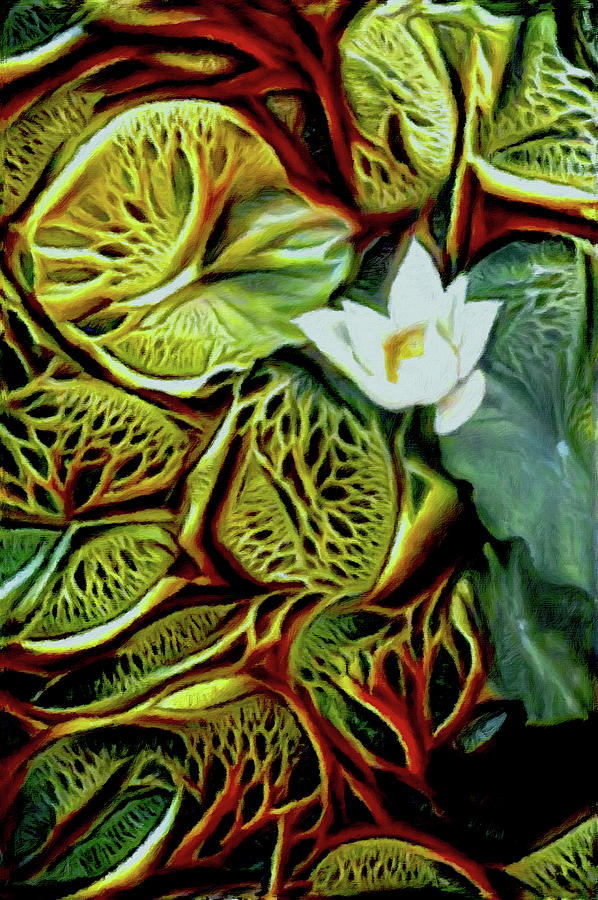 Lotus Painting by Susan Maxwell Schmidt