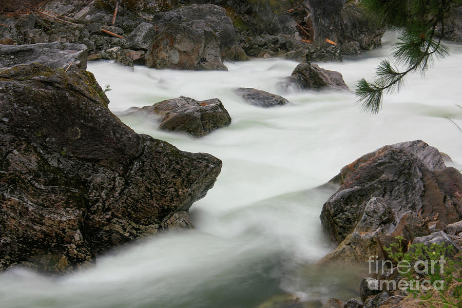 White Water On The Seleway River Photograph