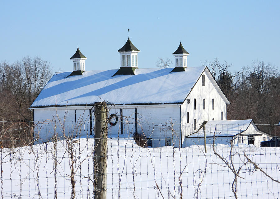 White Winter Barn Photograph by Living Color Photography Lorraine Lynch
