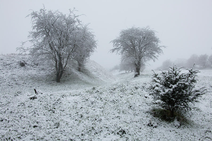 White Winter Landscape Photograph
