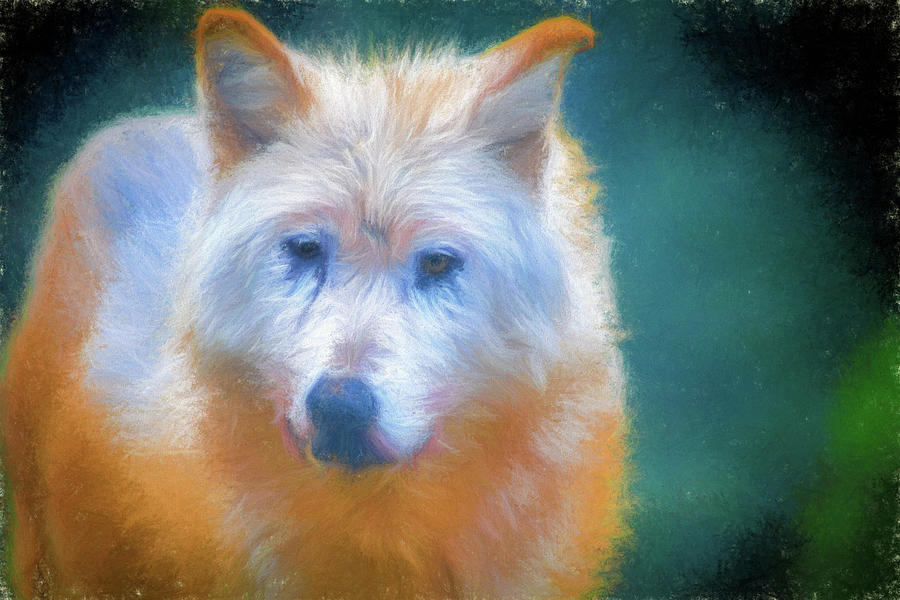 White Wolf Digital Art by LGP Imagery
