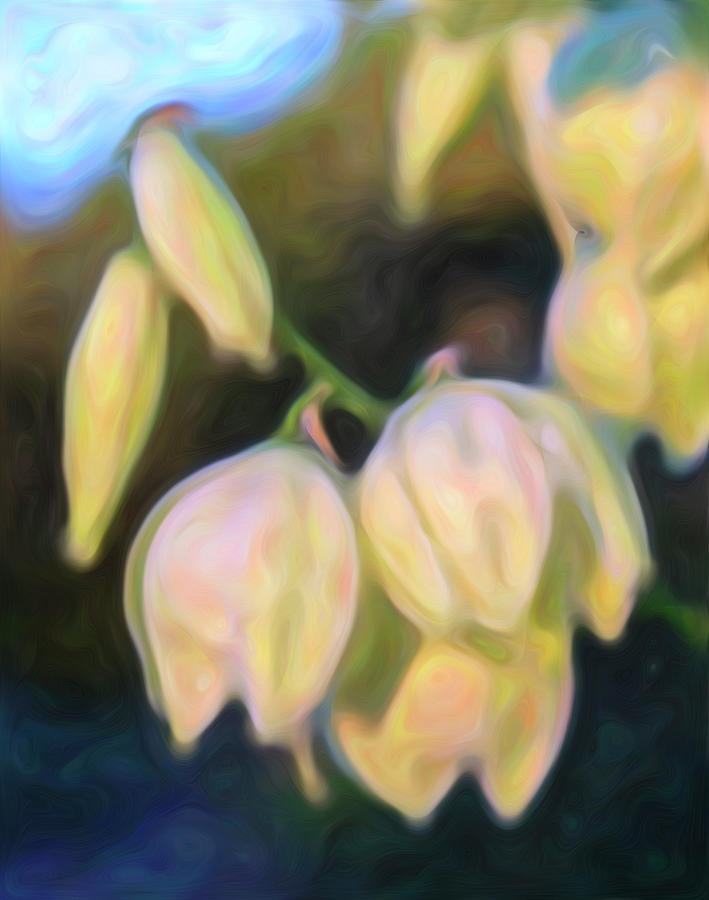White Yucca Flowers in the Morning Light by Barbara Rogers White Yucca Flowers in the Morning Light by Barbara Rogers