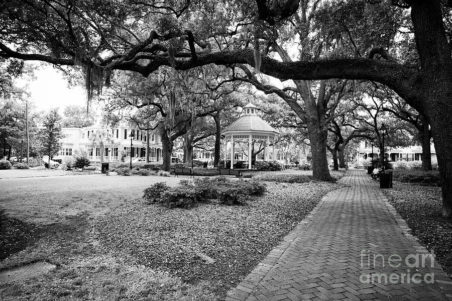 Whitefield Square Savannah Usa Photograph by Joe Fox