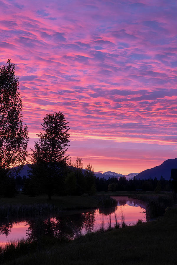 Whitefish Sunrise #1 Photograph by Jack Bell