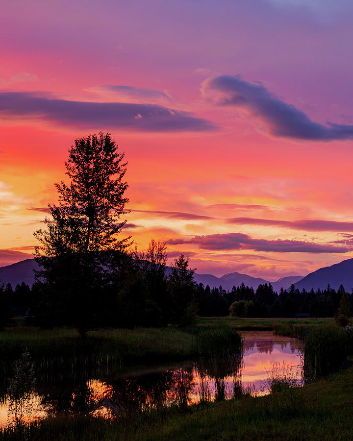 Whitefish Sunrise 7 22 Photograph by Jack Bell