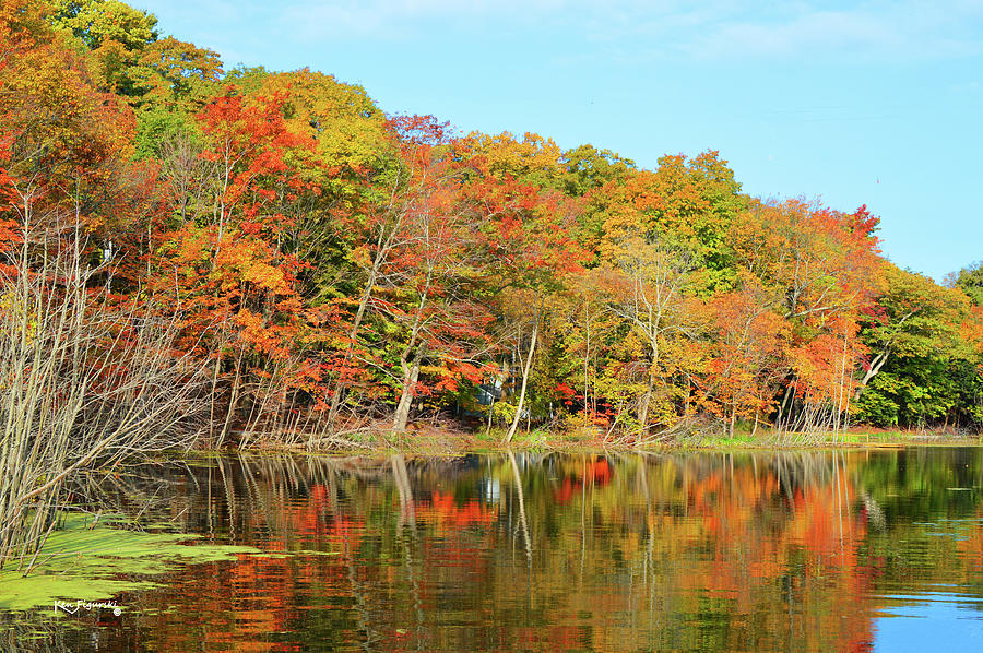 Whitehall Michigan In Autumn Photograph by Ken Figurski