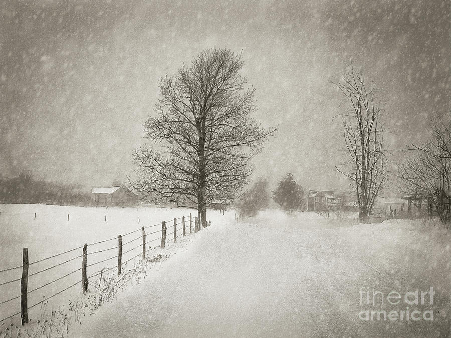 Whiteout On A Rural Road Photograph