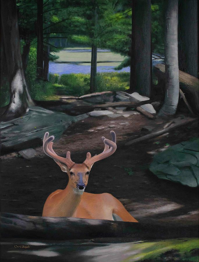 Whitetail Buck Painting by Chris Busch