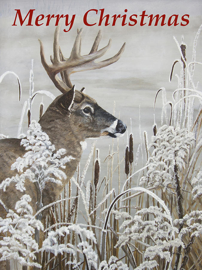 Whitetail Buck Christmas Painting by Johanna Lerwick