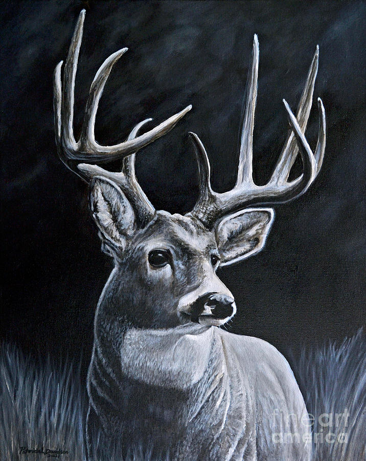Whitetail Buck In Moonlight Painting by Pat Davidson