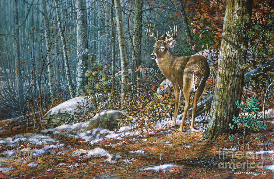 Whitetail deer 4 Painting by Scott Zoellick