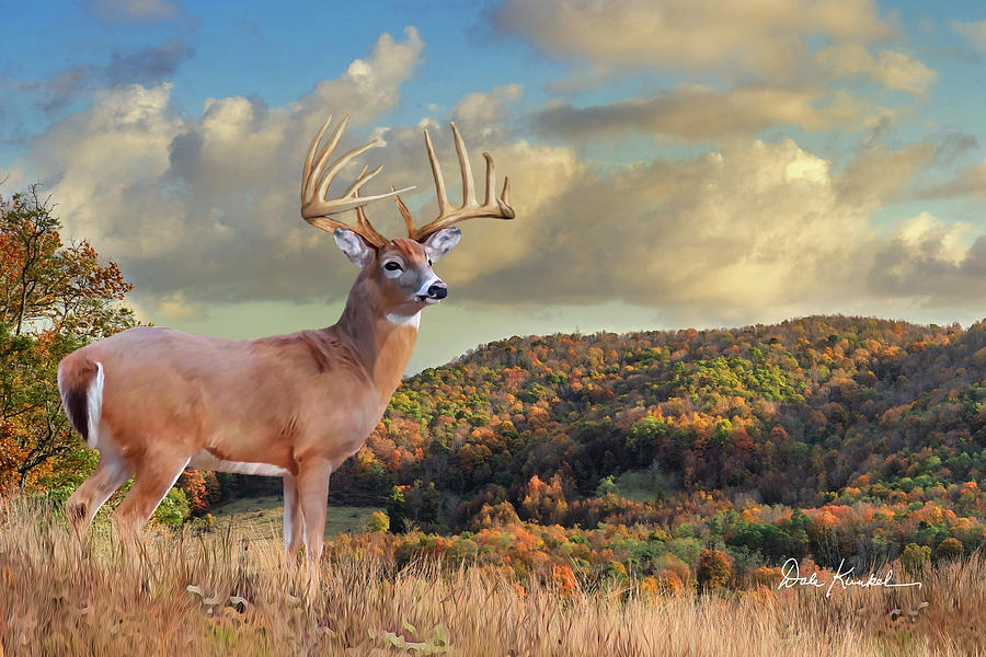 Whitetail Deer Art Print - Autumn Majesty Painting by Dale Kunkel Art