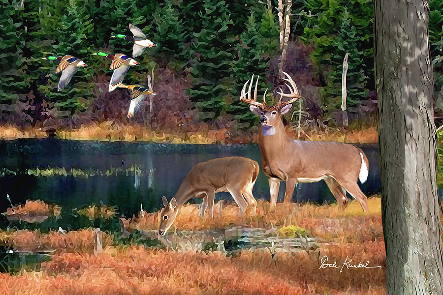 Whitetail Deer Art Print - Deer Lake Painting by Dale Kunkel Art