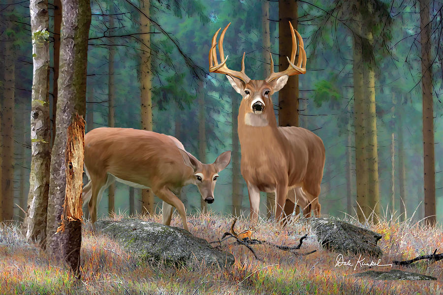 Whitetail Deer Art Print - Forest Deer  Painting by Dale Kunkel Art