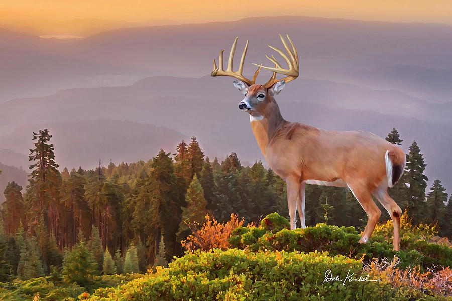 Whitetail Deer Art Print - The Great Smokey Mountains Painting by Dale Kunkel Art