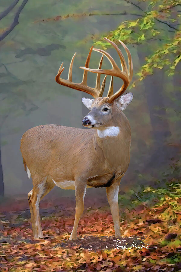 Deer Art sold Print Featuring the Whitetail Deer Painting 