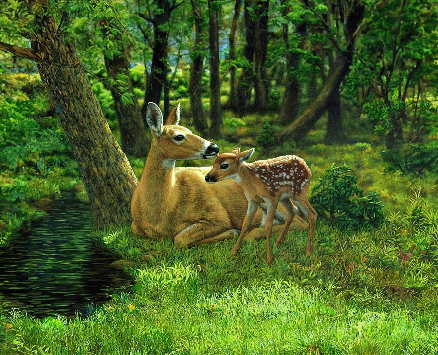 Whitetail Deer - First Spring Painting by Crista Forest