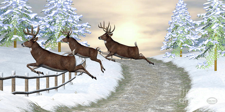 Whitetail Deer Jumping Fence Digital Art by Corey Ford