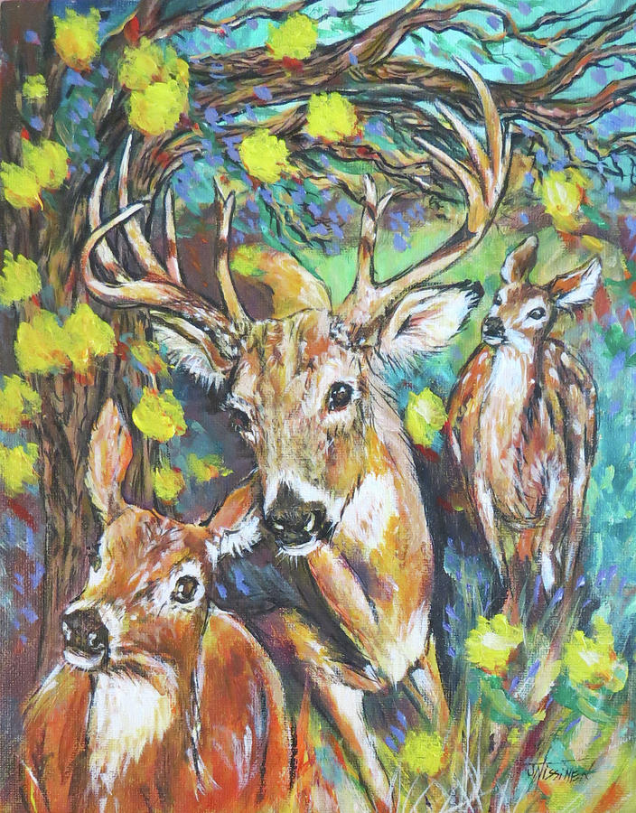 Deer Painting - Whitetail Deer by June Nissinen