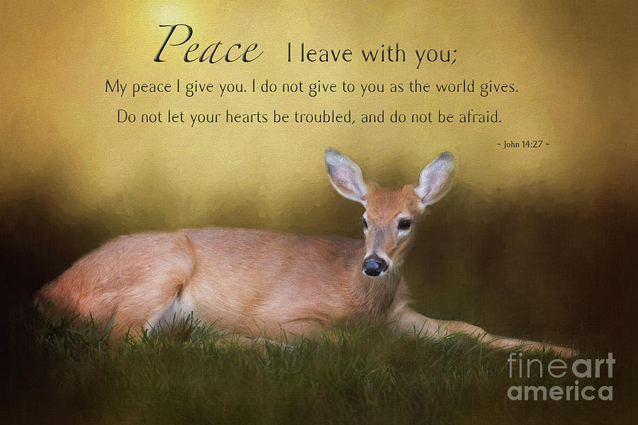 Deer Digital Art - Whitetail Deer With Peace Scripture by Sharon McConnell