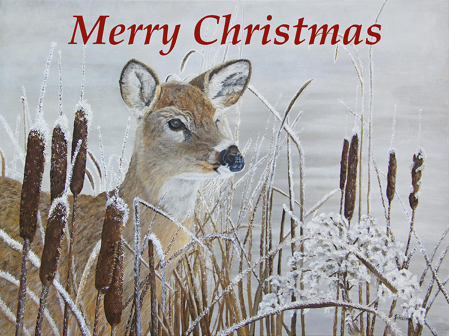 Whitetail Doe Christmas Painting by Johanna Lerwick