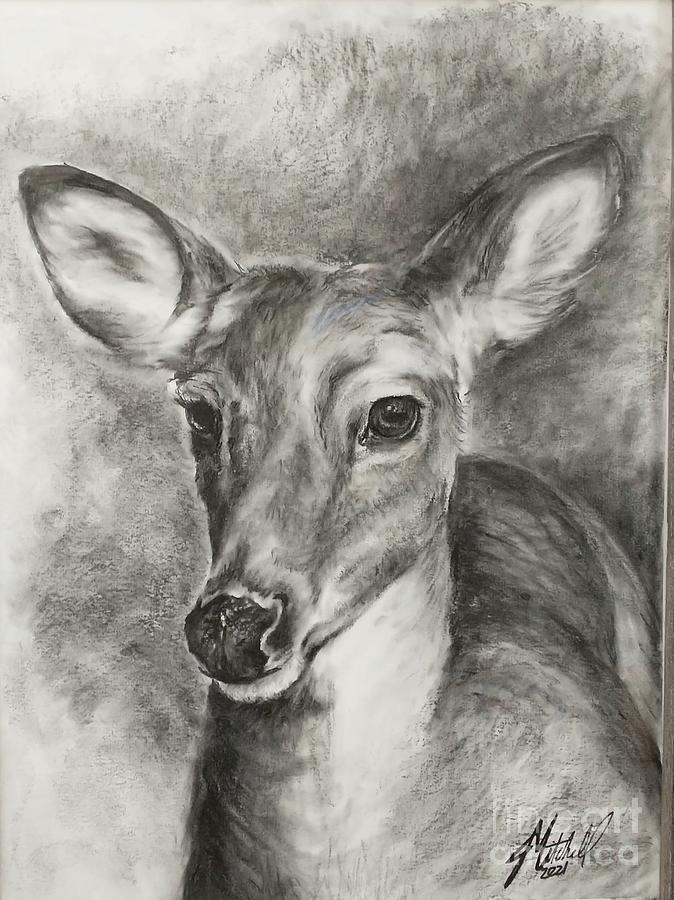 Whitetail Drawing by Jorah Mitchell | Fine Art America