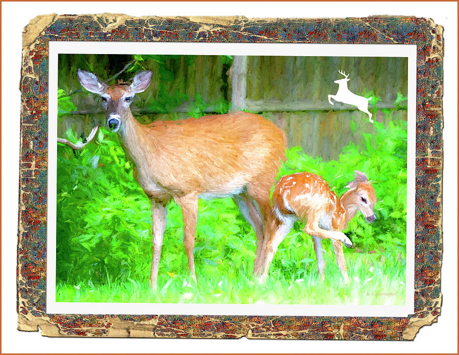 Whitetailed Deer, Doe and Fawn Photograph by A Macarthur Gurmankin