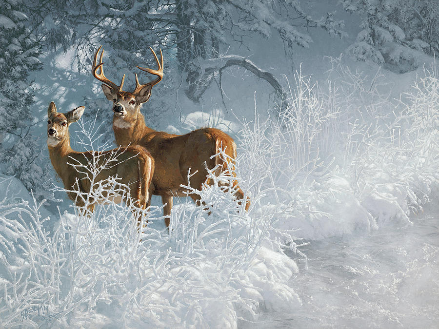 Whitetail Deer Painting - Whitetails and Warm Springs by Greg Beecham