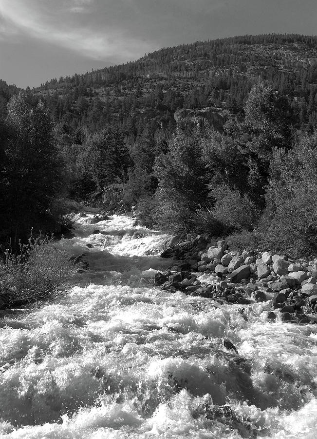Whitewater 2, Northern Colorado Photograph by Richard Porter