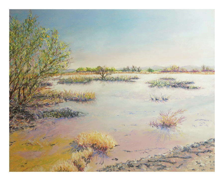 Whitewater Draw Pastel by Richard Bergquist - Fine Art America