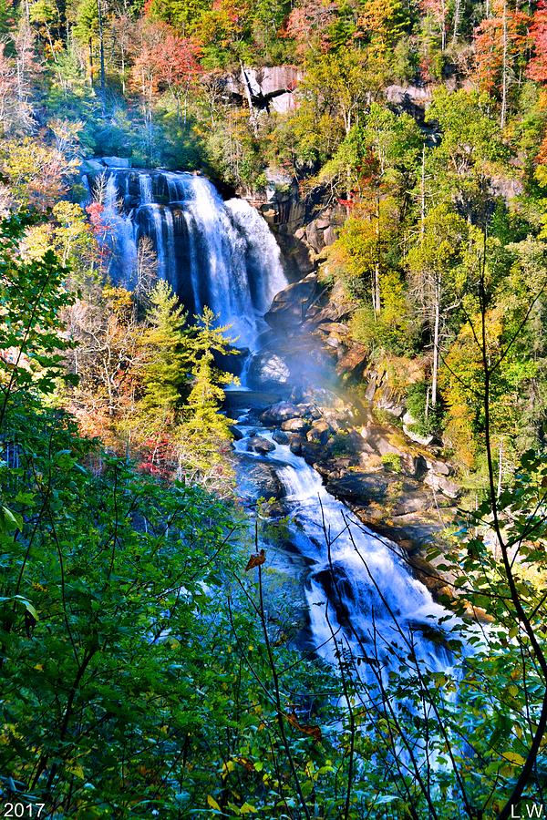 Whitewater Falls North Carolina Vertical Photograph by Lisa Wooten