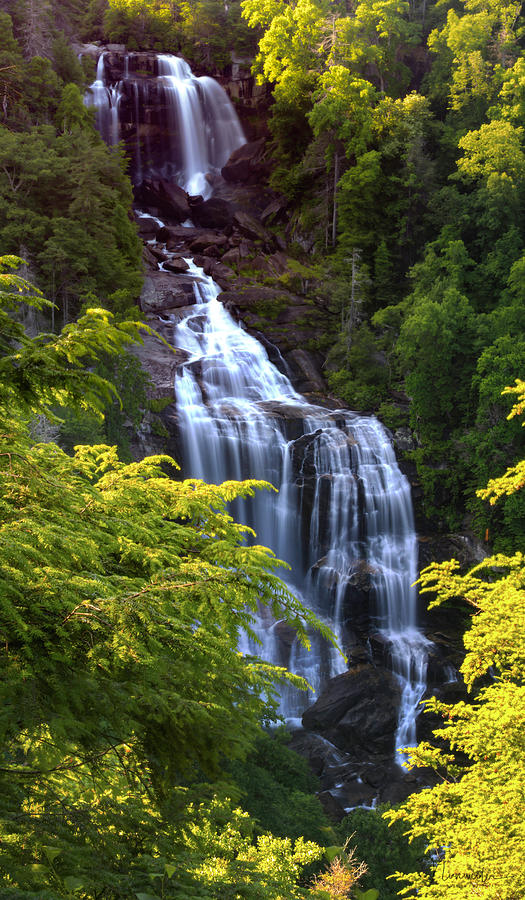 Whitewater Falls Photograph by Nunweiler Photography