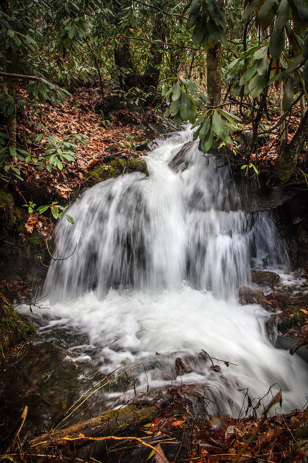 Whitewater Mists in the Forest Photograph by Debra and Dave Vanderlaan Whitewater Mists in the Forest Photograph by Debra and Dave Vanderlaan