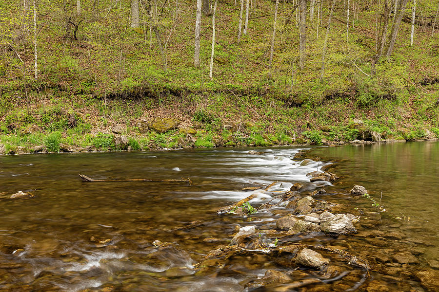 Whitewater River Spring 65 Photograph